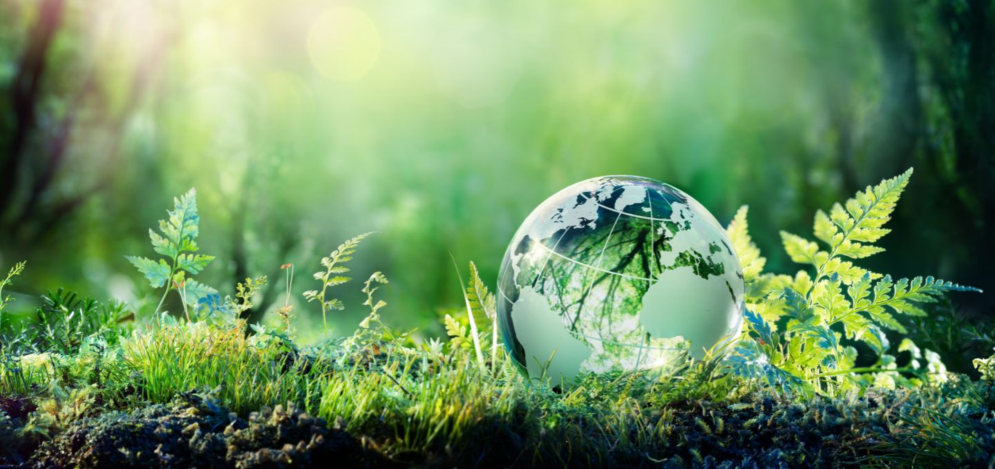 Driving Sustainability for our Future