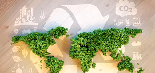 Sustainability Management Services Portfolio